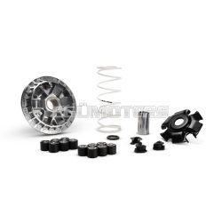 MULTIVAR 2000 variator