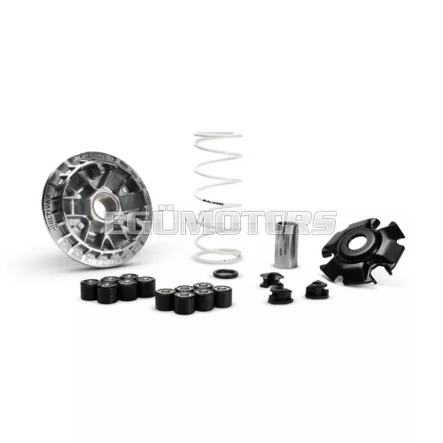 MULTIVAR 2000 variator