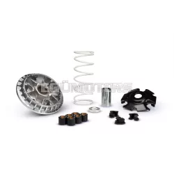 MULTIVAR 2000 variator