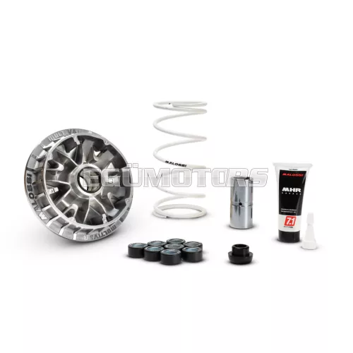 MULTIVAR 2000 variator