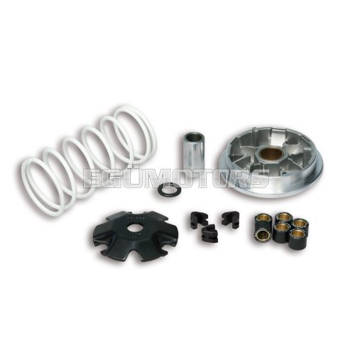 MULTIVAR 2000 variator for 50 4T scooter