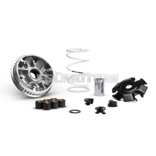 MULTIVAR 2000 variator