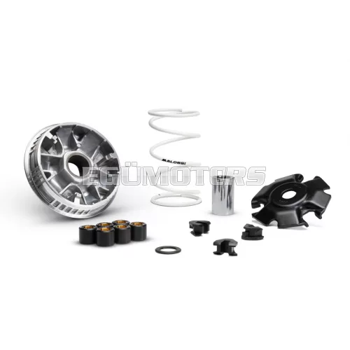 MULTIVAR 2000 variator