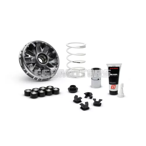 MULTIVAR 2000 variator
