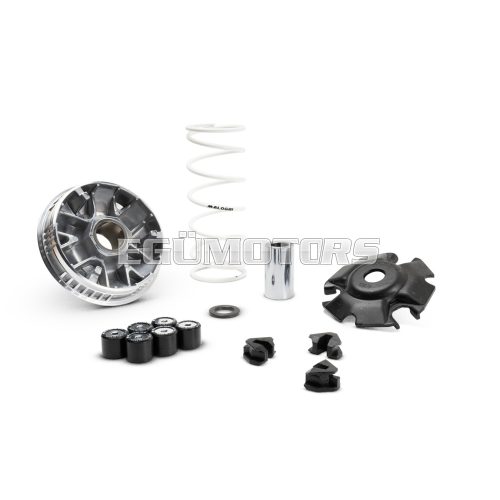 MULTIVAR 2000 variator