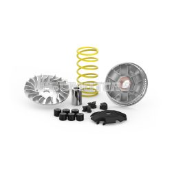 MULTIVAR 2000 variator