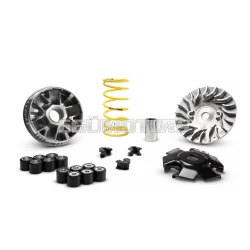 MULTIVAR 2000 variator