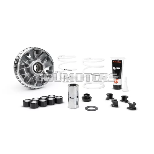 MULTIVAR 2000 variator
