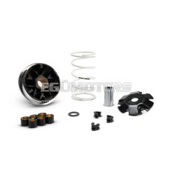 MULTIVAR 2000 variator