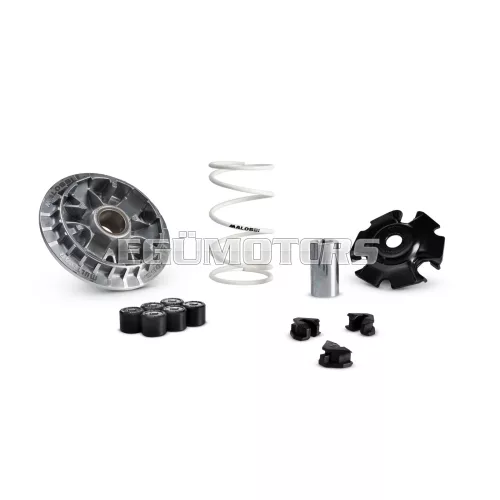 MULTIVAR 2000 variator