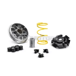 MULTIVAR 2000 variator