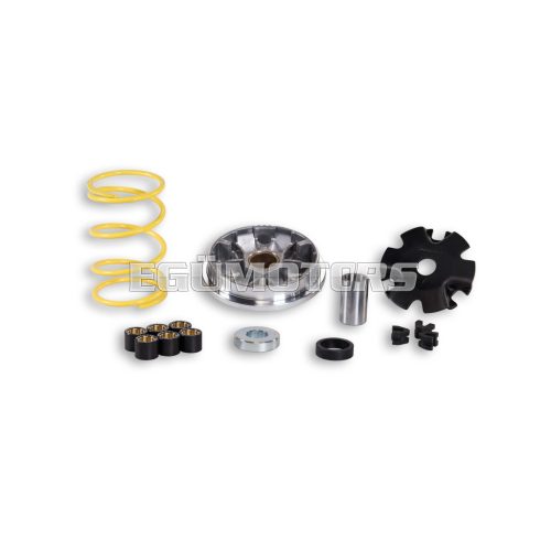 Malossi VARIATOR MULTIVAR for SCOOTER