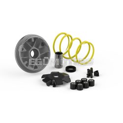 Malossi VARIATOR MULTIVAR for SCOOTER