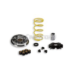 Malossi VARIATOR MULTIVAR for SCOOTER