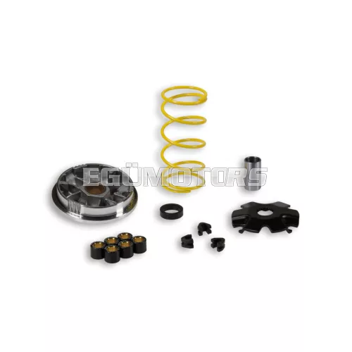 Malossi VARIATOR MULTIVAR for SCOOTER
