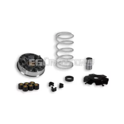 Malossi VARIATOR MULTIVAR for SCOOTER - ATV-QUAD