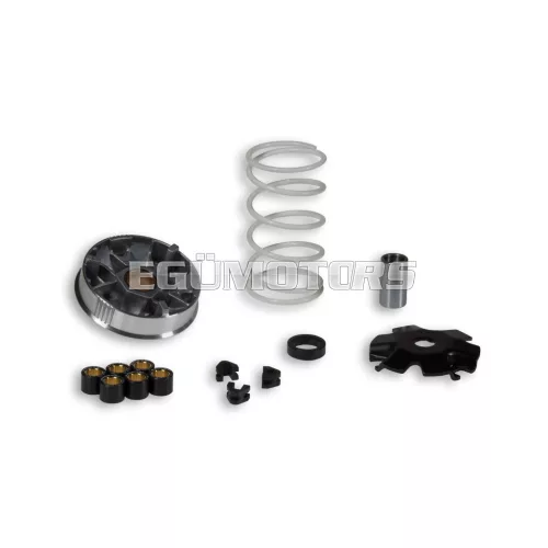 Malossi VARIATOR MULTIVAR for SCOOTER - ATV-QUAD
