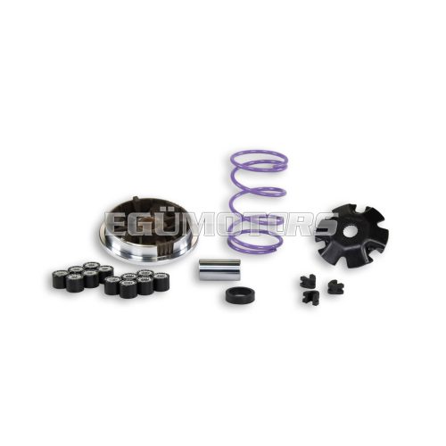 Malossi VARIATOR MULTIVAR PIAGGIO SCOOTER MHR