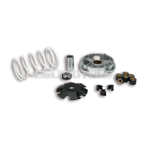 Malossi VARIATOR MULTIVAR for SCOOTER