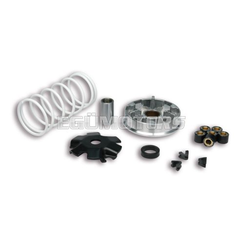 Malossi VARIATOR MULTIVAR for SCOOTER