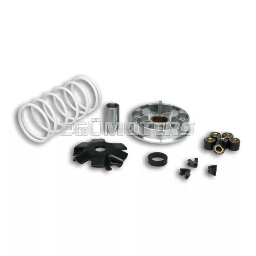 Malossi VARIATOR MULTIVAR for SCOOTER