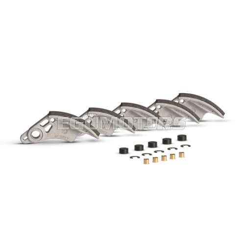 Malossi SET WGT for MAXI FLY CLUTCH