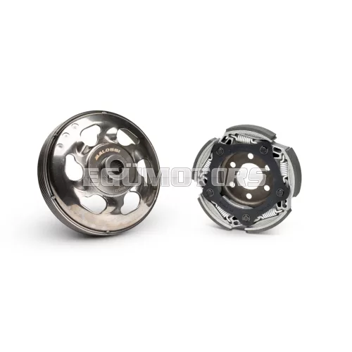 Malossi MAXI FLY SYSTEM (Clutch BELL 160)