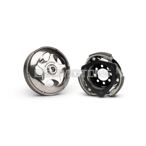 Malossi MAXI DELTA SYSTEM (Clutch BELL 134)