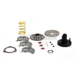 Malossi KIT FLY CLUTCH