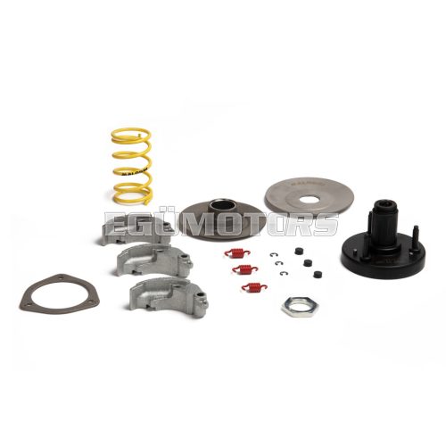 Malossi KIT FLY CLUTCH
