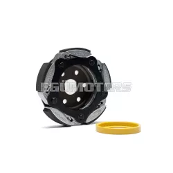   Malossi MAXI FLY CLUTCH NOT adjust. autom.clutch for CLUTCH BELL 150