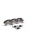 Malossi CLUTCH SHOES AUTOM.MOTORCY. no variator