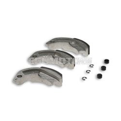 Malossi WGT KIT for DELTA CLUTCH