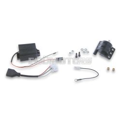 Malossi TC UNIT K15 electr.controll. with MAGNET