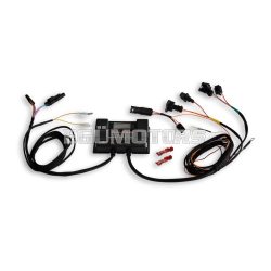 Malossi FORCE MASTER 3 electr. contr. (injection)