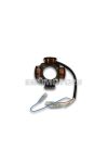 Malossi STATOR for el. ignition POWER PIAGGIO motorcycles