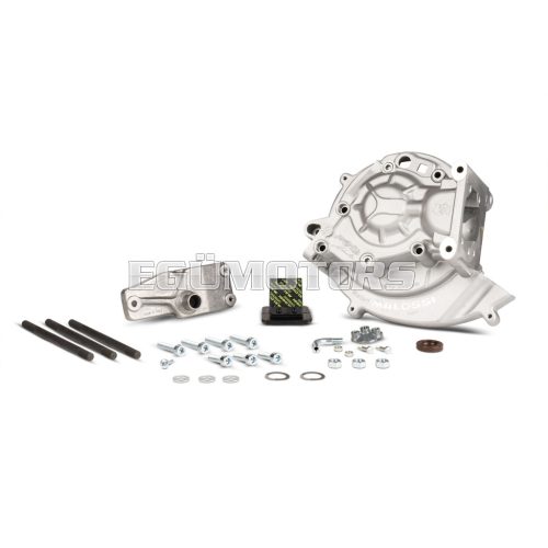 Malossi MP-ONE CRANKCASE electronic coil