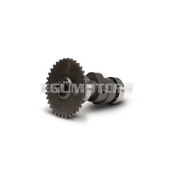 Malossi POWER CAM camshaft