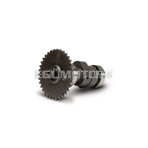 Malossi POWER CAM camshaft