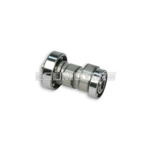 Malossi POWER CAM camshaft