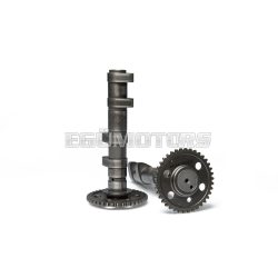 Malossi Double POWER CAM camshaft