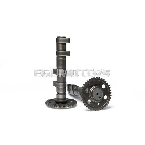 Malossi Double POWER CAM camshaft