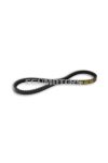 Malossi X SPECIAL belt for MBK [AV 10] (14,5x8x819 mm 30)