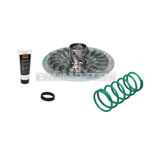 Malossi TORQUE DRIVER 4stroke