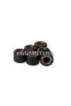Malossi 6 HTRoll 19x13,7 gr.12