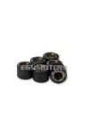 Malossi 6 HTRoll 19x13,7 gr.12