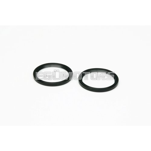 Malossi 2 OIL-SEAL 48x41x4