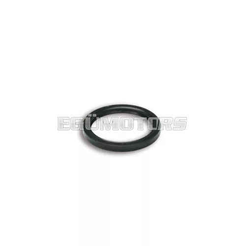 Malossi OIL SEAL 31x38x4