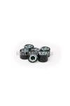 Malossi 6 HTRoll 18x14 gr.13