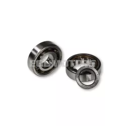   Malossi ROLLER BEARINGS SET 20 for CRANKSH. SCOOTER 50 (PIAGGIO/YAMAHA engine)